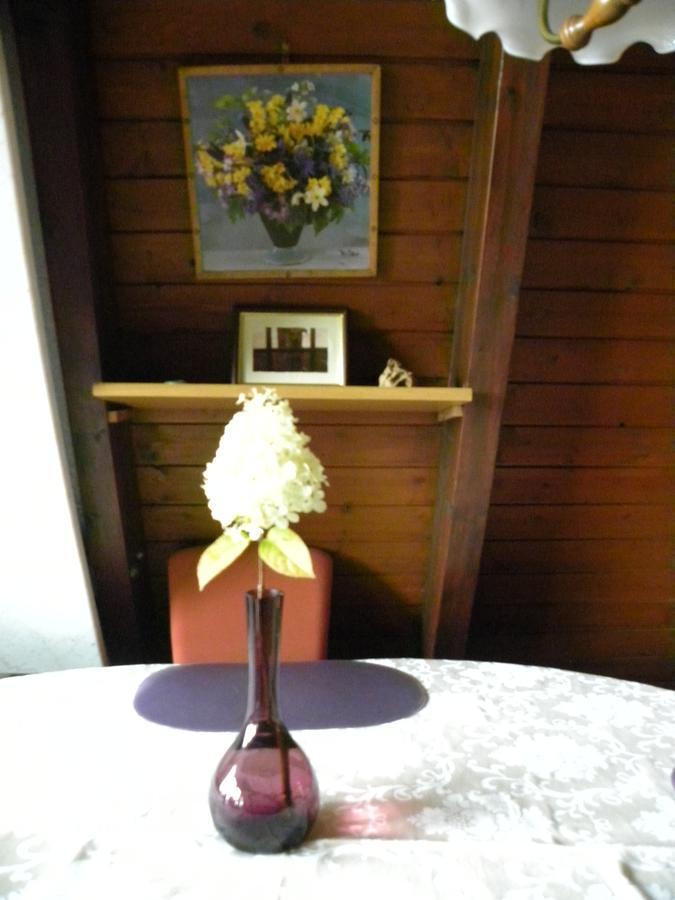 פרייאונג Ferienhaus Sommerland Auszeithuette מראה חיצוני תמונה